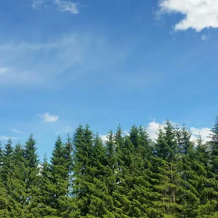 Bhome Gaestehaus / ベッド・アンド・ブレックファスト Neukirchen am Großvenediger